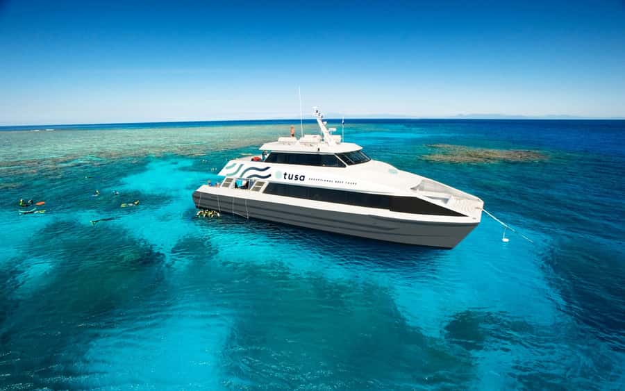Cairns: Half-Day Outer Reef Snorkel Tour - At a glance: what makes this reef trip useful
