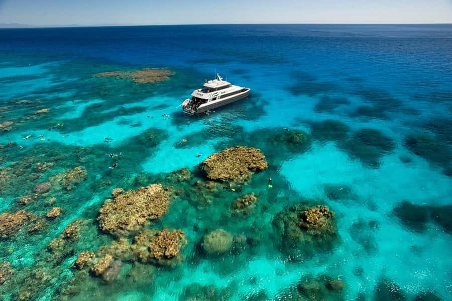 Cairns: Half-Day Outer Reef Snorkel Tour - Booking details worth knowing before you go