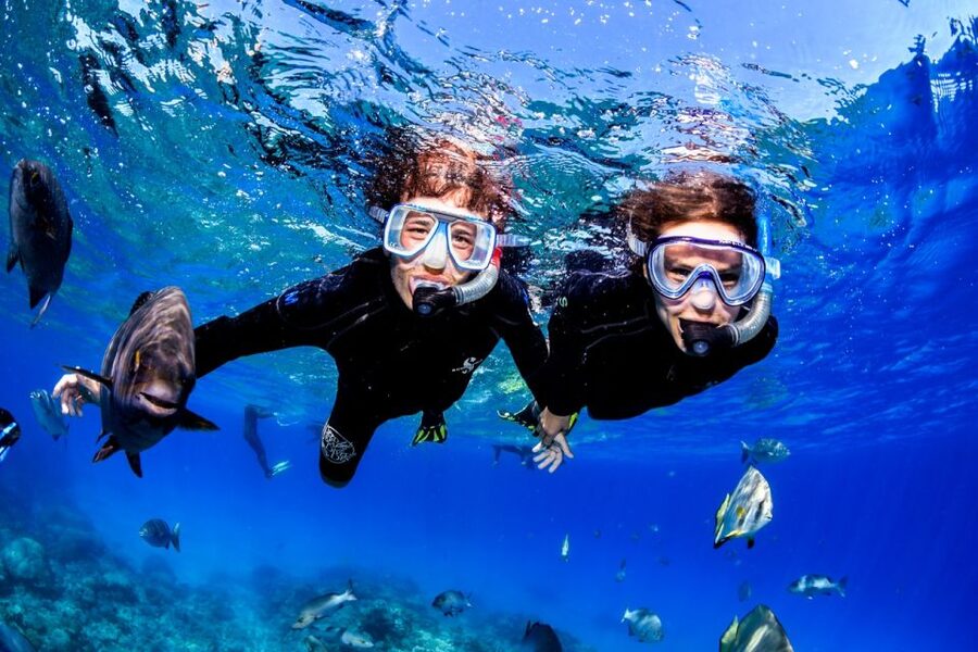 Cairns: Half-Day Outer Reef Snorkel Tour - Adding an introductory scuba session