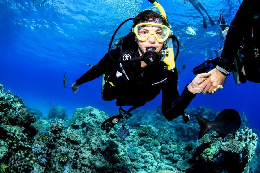 Cairns: Half-Day Outer Reef Snorkel Tour - Is $138 a fair price?