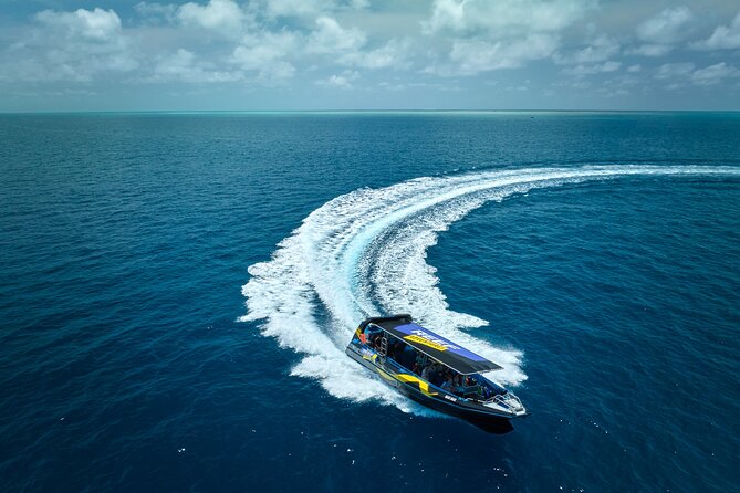 Cairns Half Day Tour a Great Barrier Reef Snorkeling Experience - Key points to know before you book