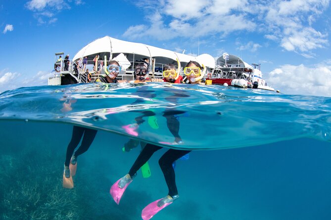 Cairns Half Day Tour a Great Barrier Reef Snorkeling Experience - Gear, snacks, and what you still need to pay for