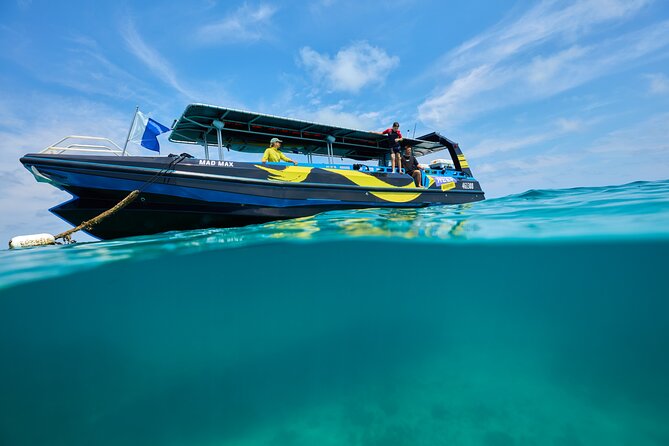 Cairns Half Day Tour a Great Barrier Reef Snorkeling Experience - Is $128.39 good value?