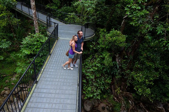 Cairns Half Day Tour a Great Barrier Reef Snorkeling Experience - Weather can change the entire experience