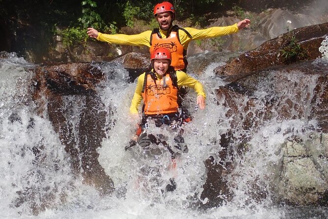 Cairns Half Day Tour a Great Barrier Reef Snorkeling Experience - Practical planning for the marina and boat