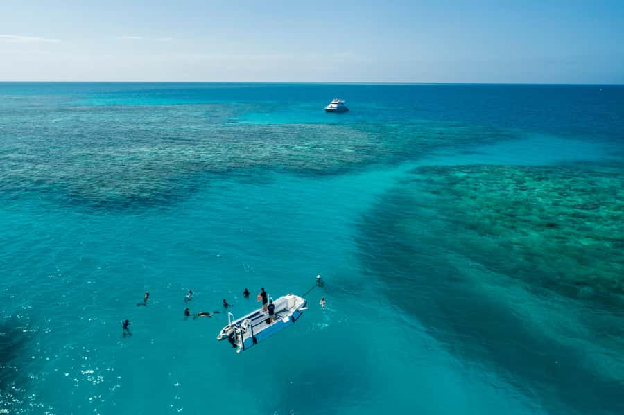 Cairns: Outer and Coral Cay Snorkel and Dive Cruise - Key points to know before booking