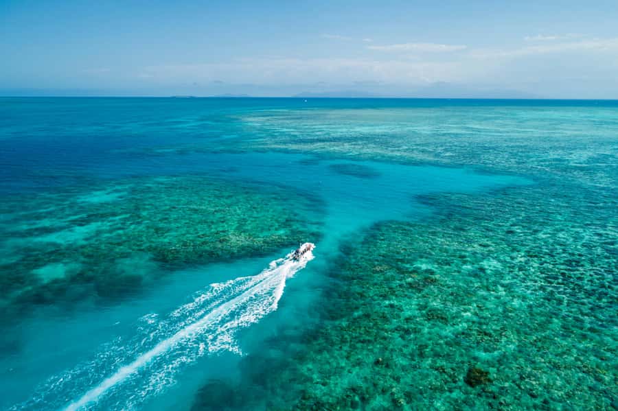 Cairns: Outer and Coral Cay Snorkel and Dive Cruise - Why this trip gives you more reef time
