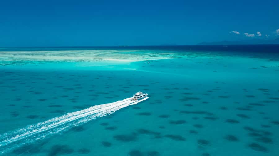 Cairns: Outer and Coral Cay Snorkel and Dive Cruise - What the $183 price really buys
