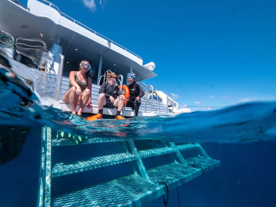Cairns: Premium Snorkelling and Diving Reef Day Trip - Practical verdict for your Cairns plans