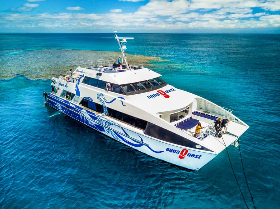Cairns: Premium Snorkelling and Diving Reef Day Trip - A full reef day from Cairns, not a quick look