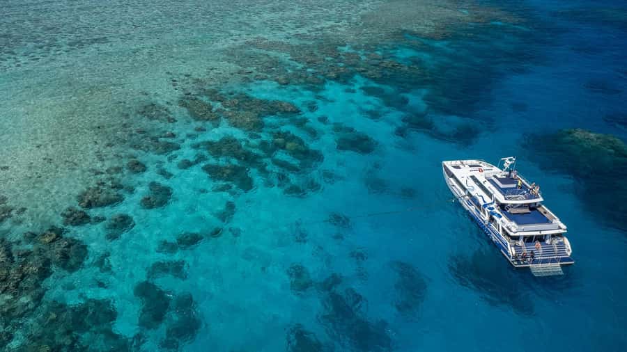 Cairns: Premium Snorkelling and Diving Reef Day Trip - Lunch, hot showers, and a useful break