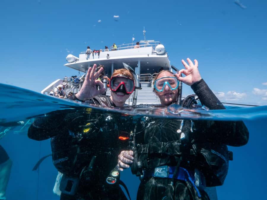 Cairns: Premium Snorkelling and Diving Reef Day Trip - What the reef experience feels like