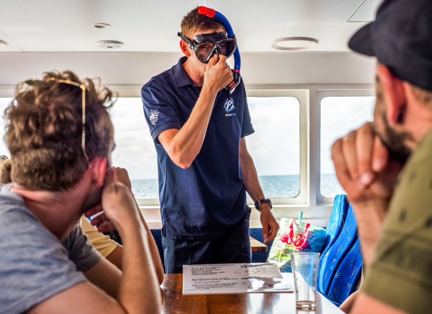 Cairns: Premium Snorkelling and Diving Reef Day Trip - Is $166 a fair price?