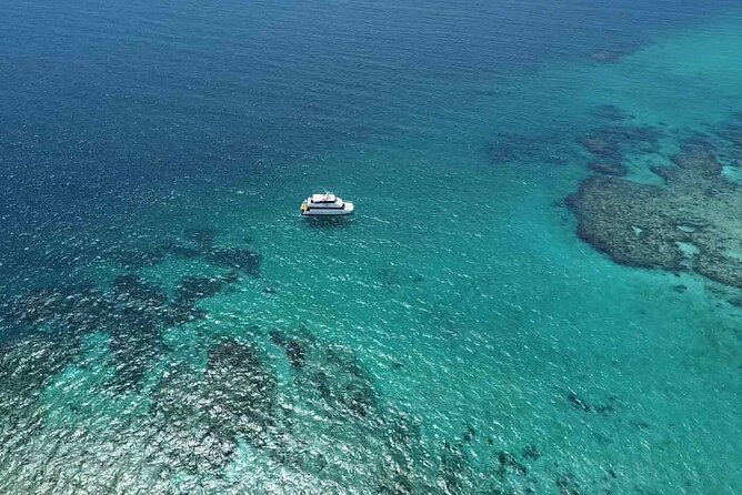 Cairns: Small Group | Outer Great Barrier Reef Snorkel & Dunk Is. - Key points to know before booking