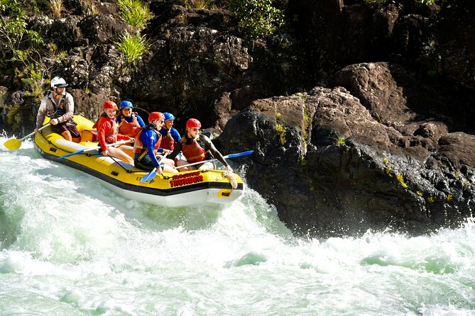 Cairns: Small Group | Outer Reef Snorkel & Dunk Island - Is the $172.89 price good value?
