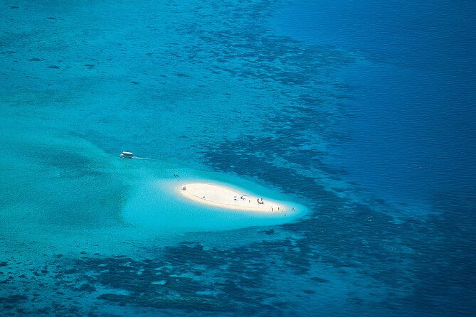 Cairns: Small Group | Outer Reef Snorkel & Dunk Island - Two snorkel sessions at Beaver Cay and Reef