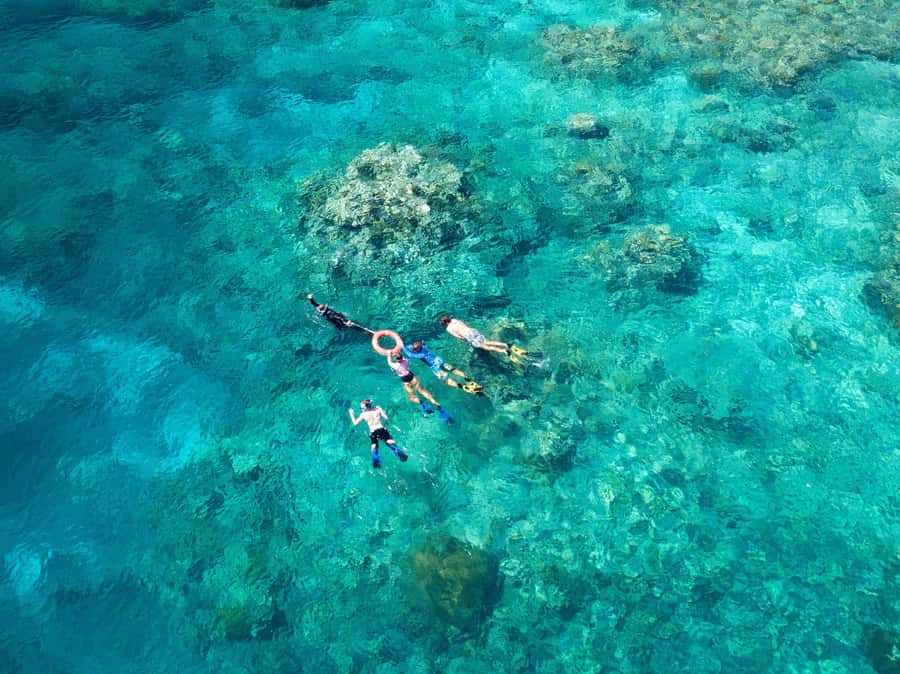 Cairns: Snorkelling and Diving Reef Day Trip - Why the Outer Reef setting matters