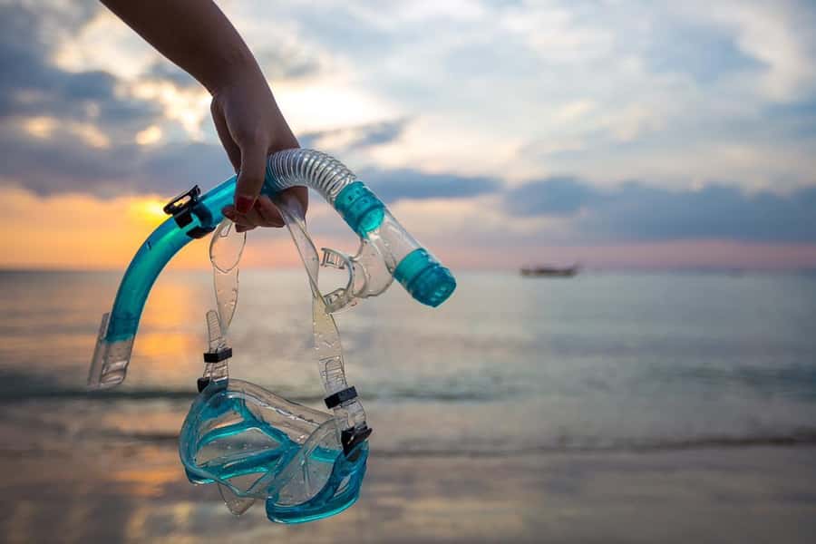 Cairo: Ain Sokhna Snorkeling cruise & optional transfer - A buffet lunch on the return schedule