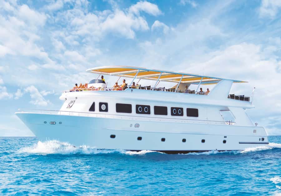 Cairo: Luxury Snorkeling Cruise & lunch with optional pickup - Key points to know before booking