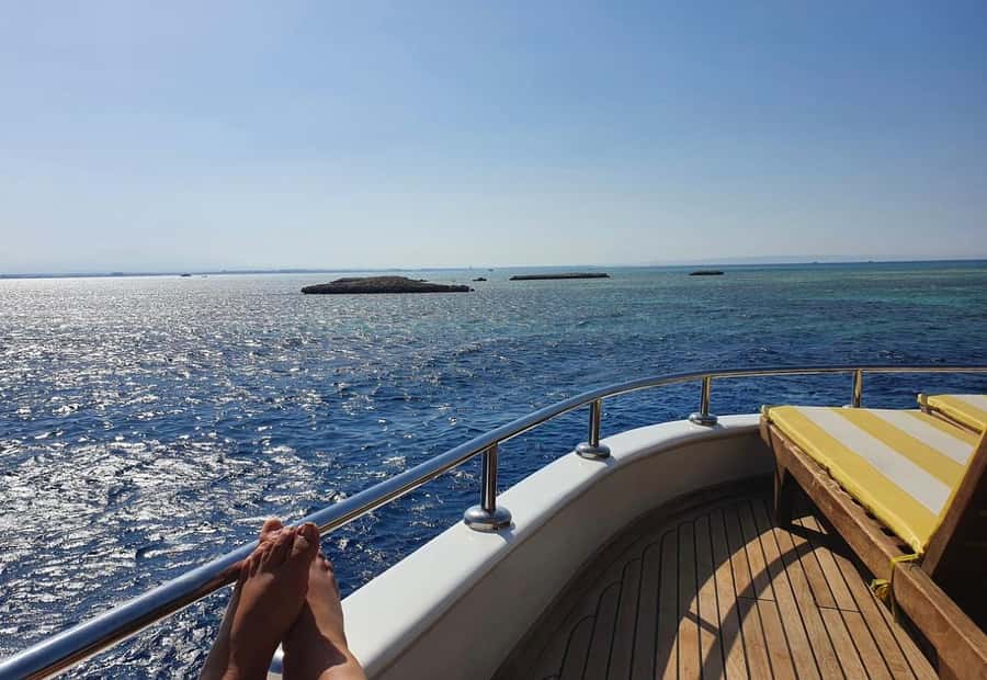 Cairo: Luxury Snorkeling Cruise & lunch with optional pickup - Who should book this Red Sea outing
