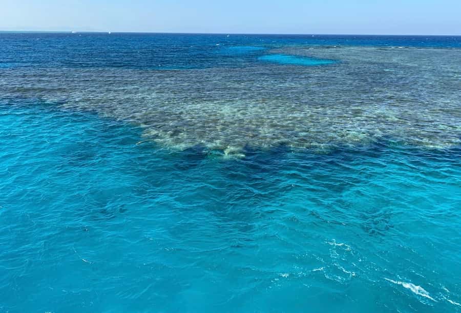 Cairo to Red Sea: VIP Yacht Cruise, Snorkeling & Lunch - Key points to know before booking
