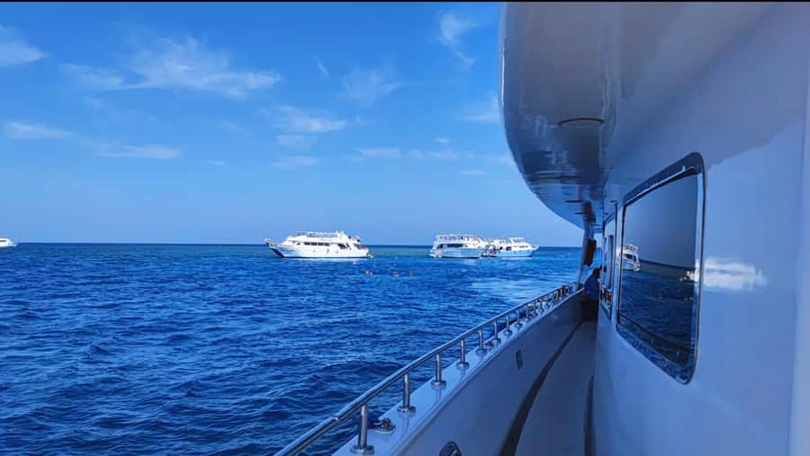 Cairo to Red Sea: VIP Yacht Cruise, Snorkeling & Lunch - Two snorkeling sessions, but one reef area