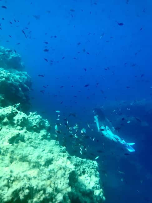 Cala Codolar: Sea & Caves Kayaking Tour with Snorkeling - Cliff jumping, swimming, and the right level of adventure