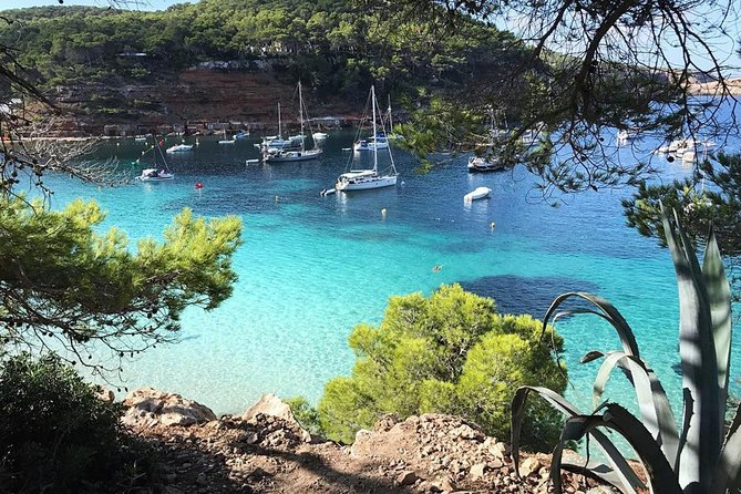 Cala Salada and Unspoiled North Beach Tour. Snorkelling and Aquarium - San Antonio departure and the first view of Ibiza’s coast