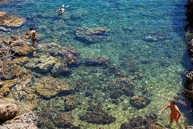 Cala Salada and Unspoiled North Beach Tour. Snorkelling and Aquarium - Paella, snacks, and what is included