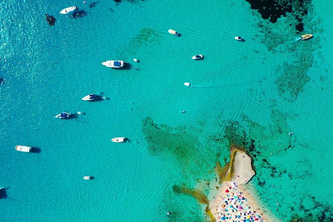 Cala Salada and Unspoiled North Beach Tour. Snorkelling and Aquarium - Is $50.81 good value for six hours?