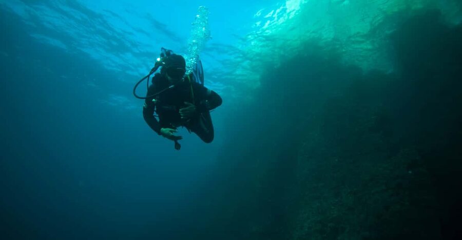 Calanques National Park Snorkel and Scuba Dive - Key points to know before booking