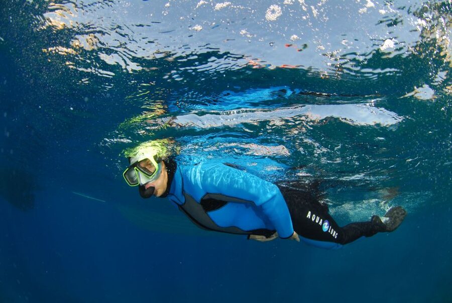 Calvi: Pointe de la Revellata Snorkeling Boat Tour - My recommendation for Pointe de la Revellata