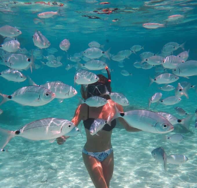Calvi : Sortie snorkeling en bateau en bordure de réserve - Key points to know before booking