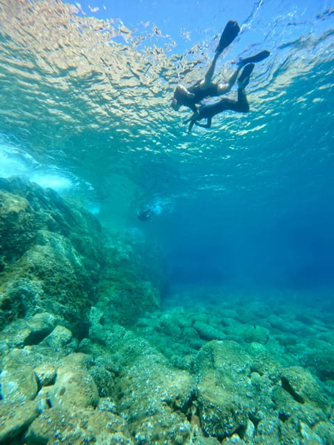 Calvi : Sortie snorkeling en bateau en bordure de réserve - One hour at the site, with room to choose your pace