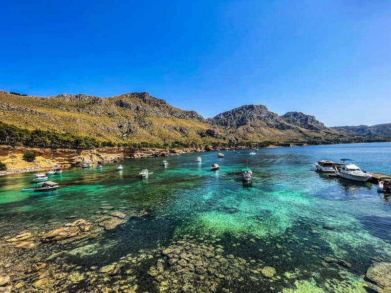 Can Picafort: 2-Hour Boat Tour with Snorkeling & Sea Caves - Practical limits that matter