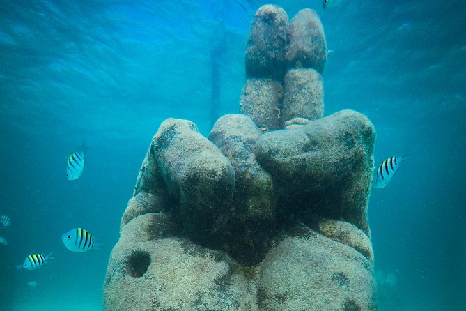 Cancun Adventure: Reef Snorkeling & Parasailing Experience - Getting to Marina Punta Norte