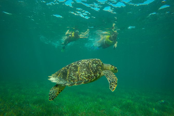 Cancun Adventure: Reef Snorkeling & Parasailing Experience - Waiting time and the photo decision