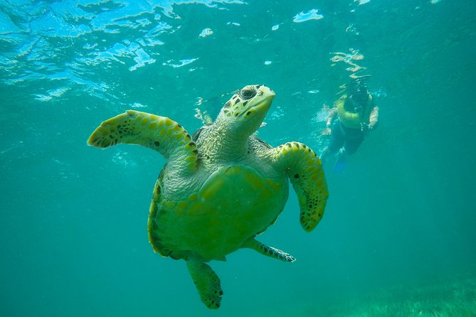 Cancun Adventure: Reef Snorkeling & Parasailing Experience - Weather rules and safety concerns