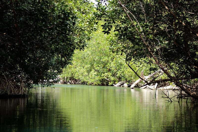 Cancun: Jungle Tour Adventure with Speedboat and Snorkeling - Taking the wheel through Nichupté Lagoon