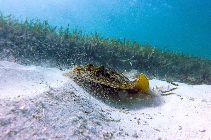 Cancun Snorkeling Adventure: Underwater Museum, Reef & Shipwreck - Safety support for nervous swimmers