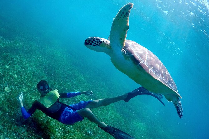 Cancun Snorkeling Adventure: Underwater Museum, Reef & Shipwreck - Price, taxes, and overall value