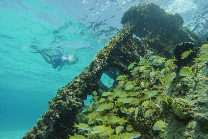 Cancun Snorkeling Adventure: Underwater Museum, Reef & Shipwreck - Weather, port closures, and communication