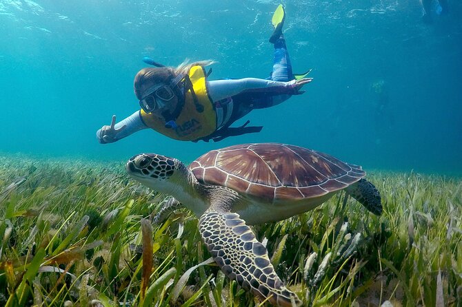 Cancun Snorkeling Adventure: Underwater Museum, Reef & Shipwreck - Why the shipwreck is a favorite stop