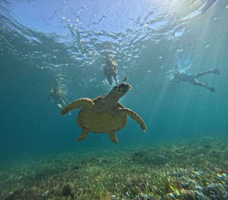 Cancun: Snorkeling Boat Tour with Gear - What the $99 price really buys you