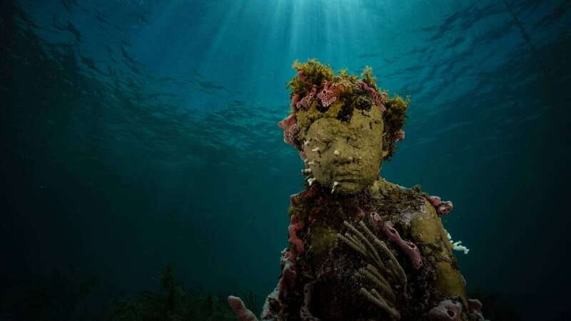 Cancun: Snorkeling Tour at MUSA The Underwater Museum - Key points to know before booking