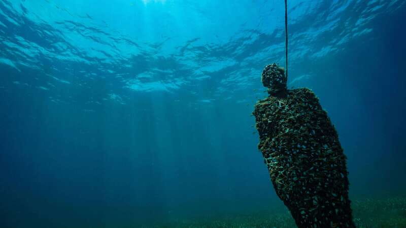 Cancun: Snorkeling Tour at MUSA The Underwater Museum - Booking, cancellation, and practical timing