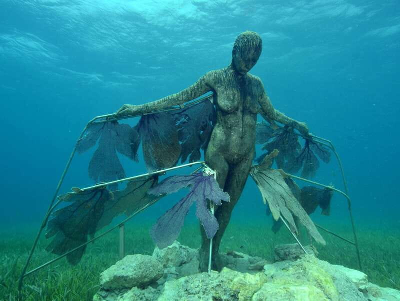 Cancun: Snorkeling Tour at MUSA The Underwater Museum - The Manchones Reef stop