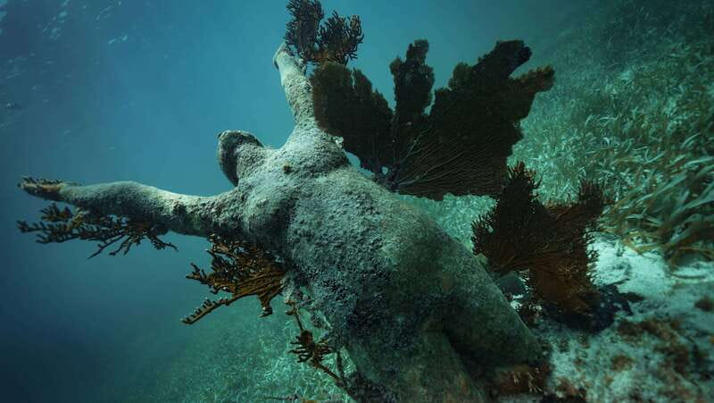 Cancun: Snorkeling Tour at MUSA The Underwater Museum - What to wear when sunscreen is banned