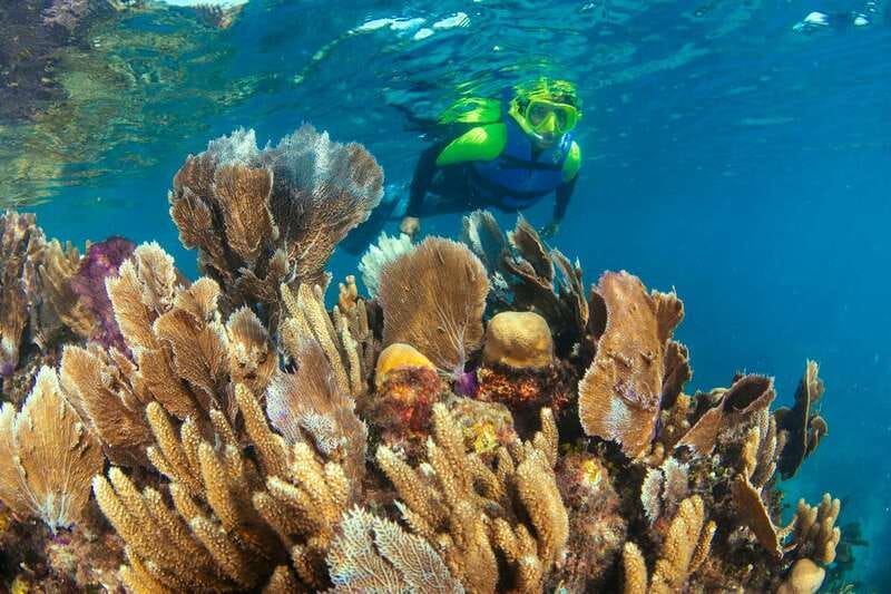 Cancun: Snorkeling Tour at MUSA The Underwater Museum - Who will enjoy this tour most