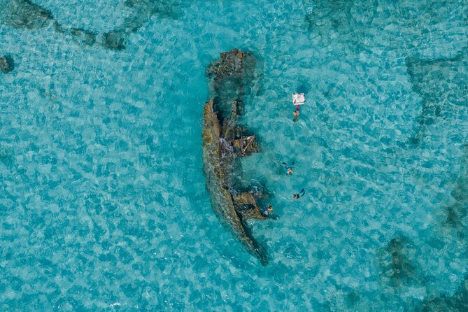 Cancun Snorkeling Tour: Swim with Turtles, Reef, Underwater Museum and Shipwreck - Four Cancun sites, four different kinds of snorkeling